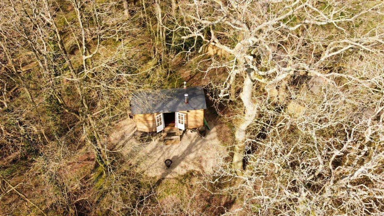 Bluebell Shepherds Hut Rolvenden Exterior foto